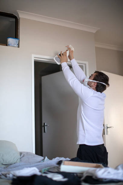 Best Emergency Mold Remediation  in Crystal Springs, MS