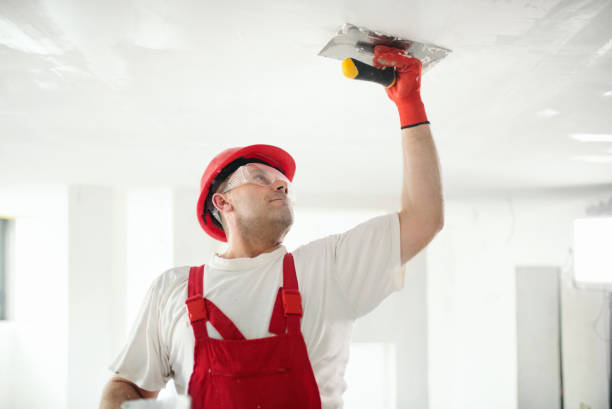 Best Real Estate Mold Inspection  in Crystal Springs, MS