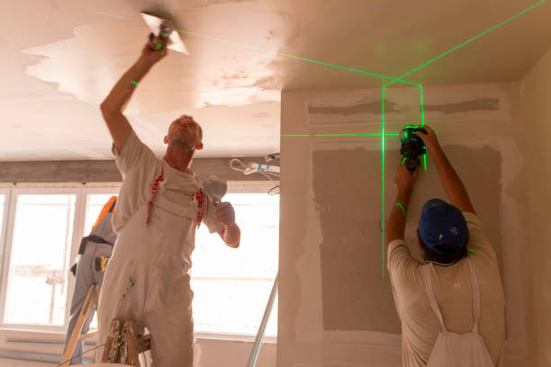 Best Emergency Mold Remediation  in Crystal Springs, MS