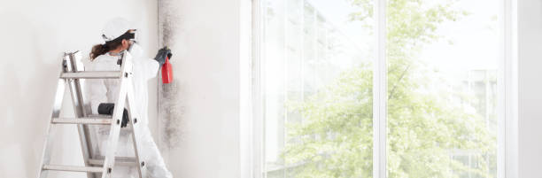 Best Mold Documentation for Insurance Claims  in Crystal Springs, MS