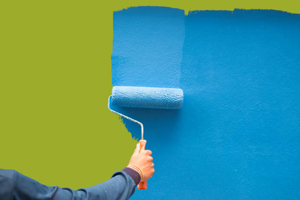 Best Basement Mold Removal  in Crystal Springs, MS